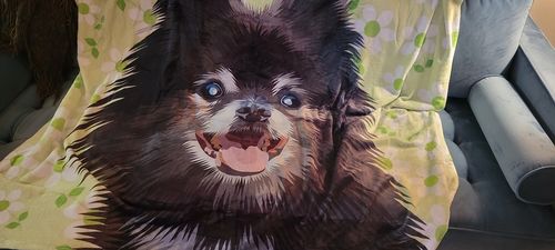 Customer photo review of Custom Pet Fleece Blanket