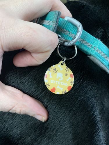 Customer photo review of Explorer