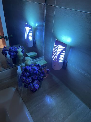 Customer photo review of Shieldeck® WallTrap - Plug-In Indoor Flying Insects Smart UV Trap