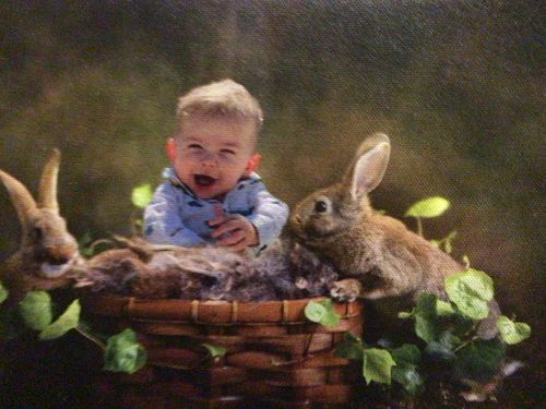 Customer photo review of Easter Garden