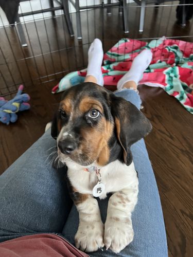 Customer photo review of White