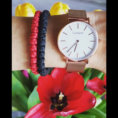 Customer photo review of California Edition Limited
