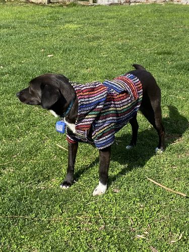 Customer photo review of Playa Poncho