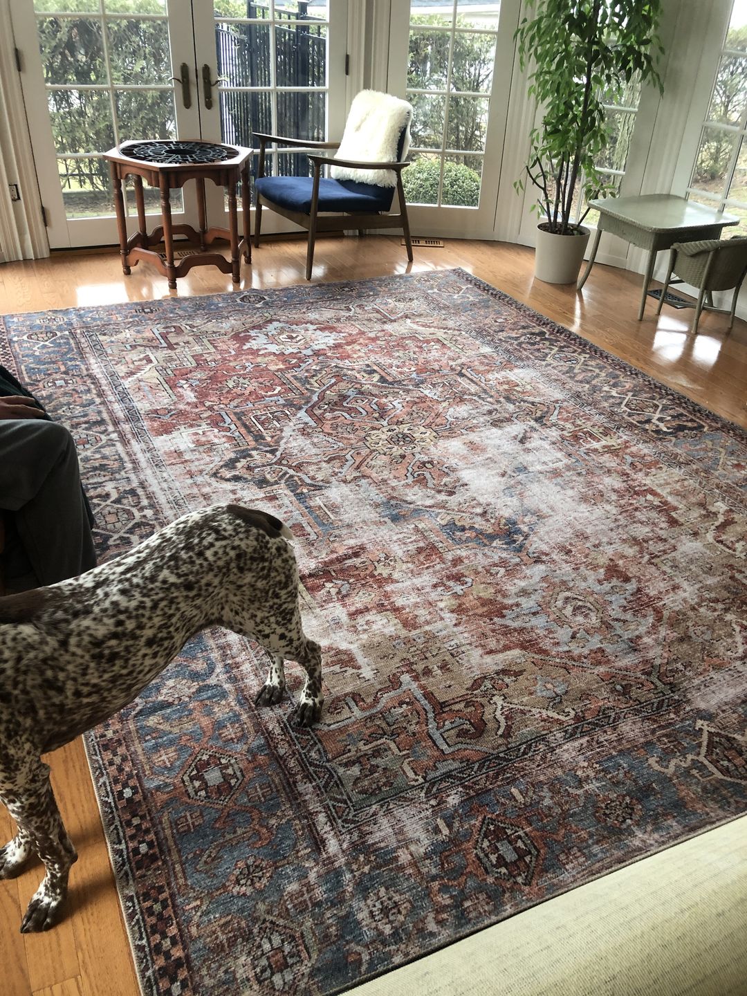 Customer photo review of Sophia Heritage Rust Rug