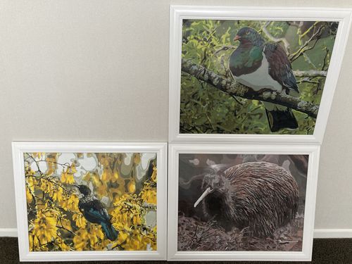 Customer photo review of Tui in Kowhai Tree