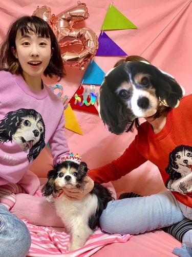 Customer photo review of Full-Body Pet Custom Sweater