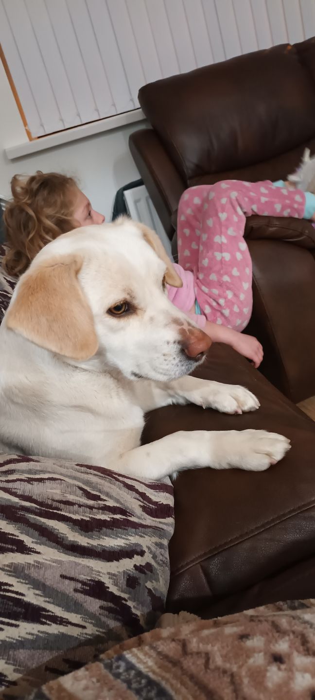 Customer photo review of Anti Bark Training Collar