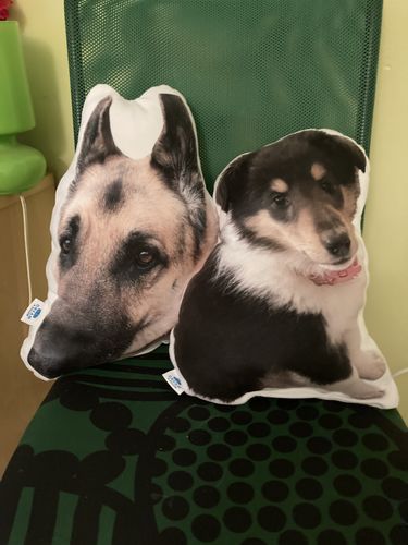 Customer photo review of Create A Custom Dog Pillow