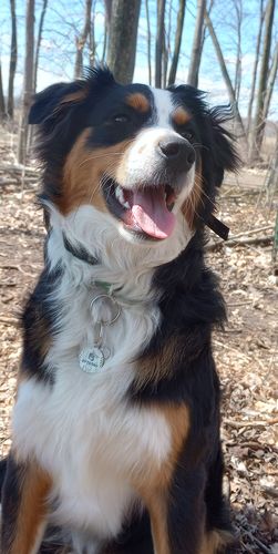 Customer photo review of Evergreen