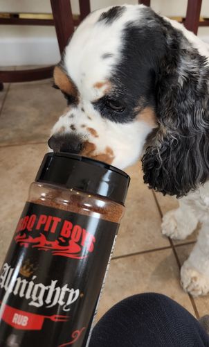 Customer photo review of Almighty