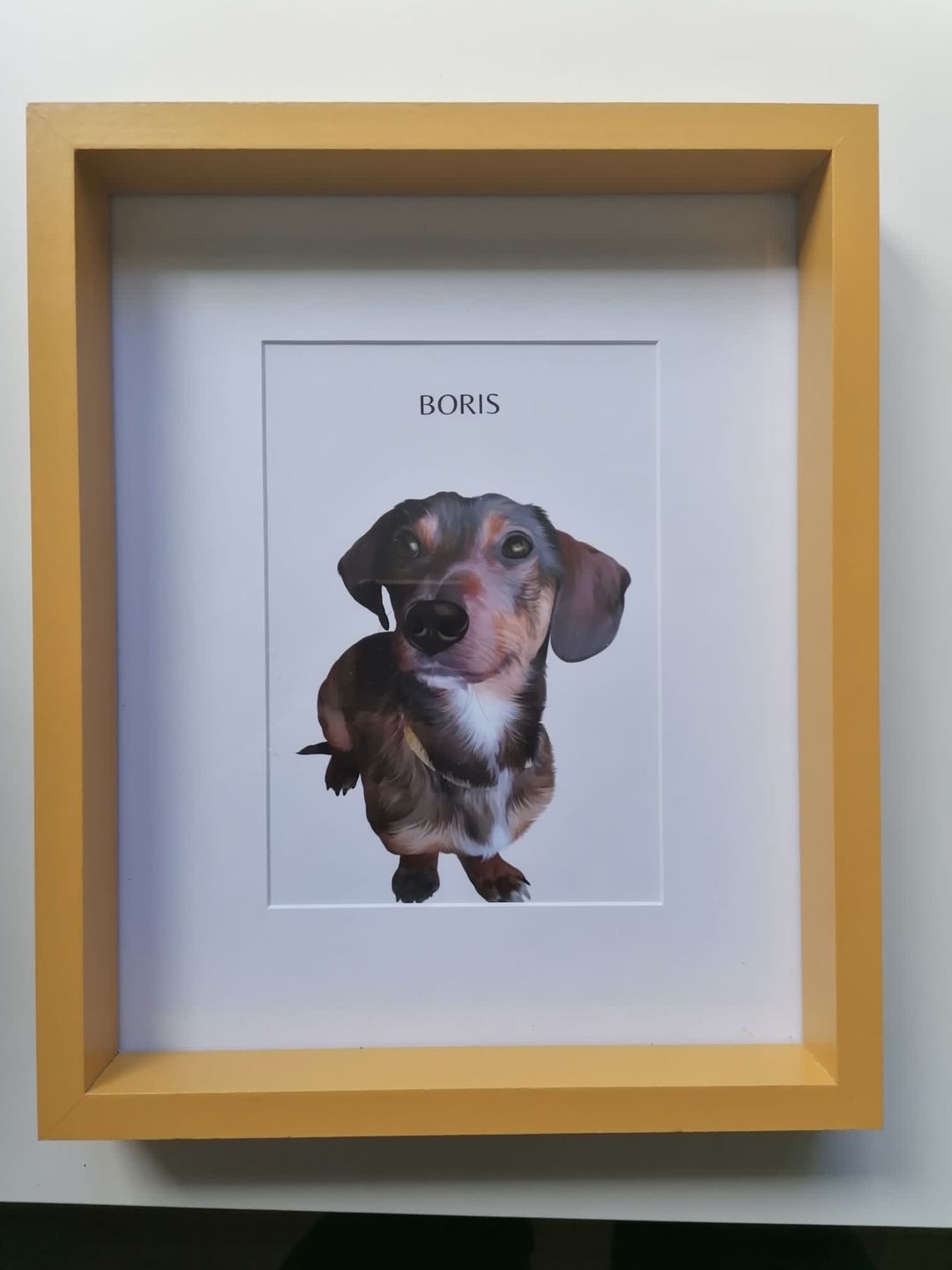 Customer photo review of Custom Pet Portrait (Digital Copy)