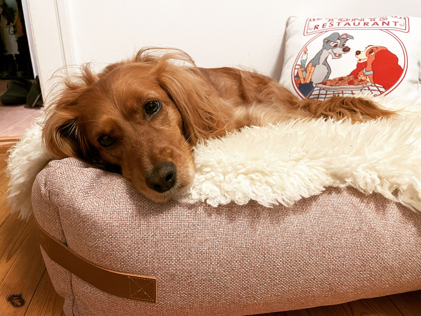 Customer photo review of Hundeseng 'HYGGE' (flamingo)