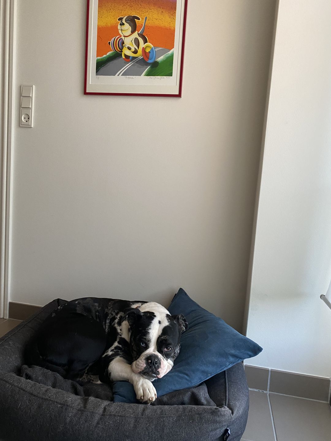 Customer photo review of Hundeseng 'HYGGE' (graphite)