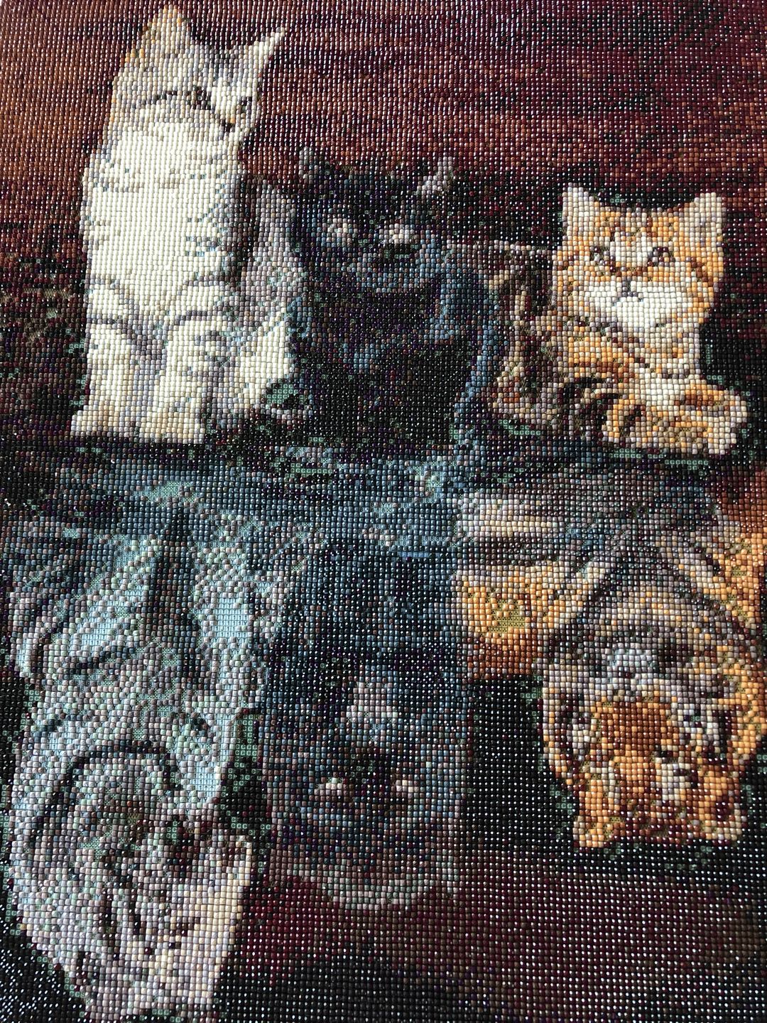 Customer photo review of 3 Kattungar Reflektion