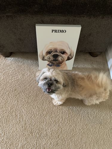 Customer photo review of The Passport - Custom Pet Canvas