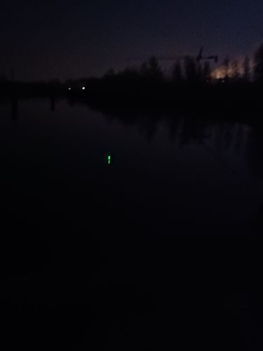 Customer photo review of 2g Smart Fishing Float