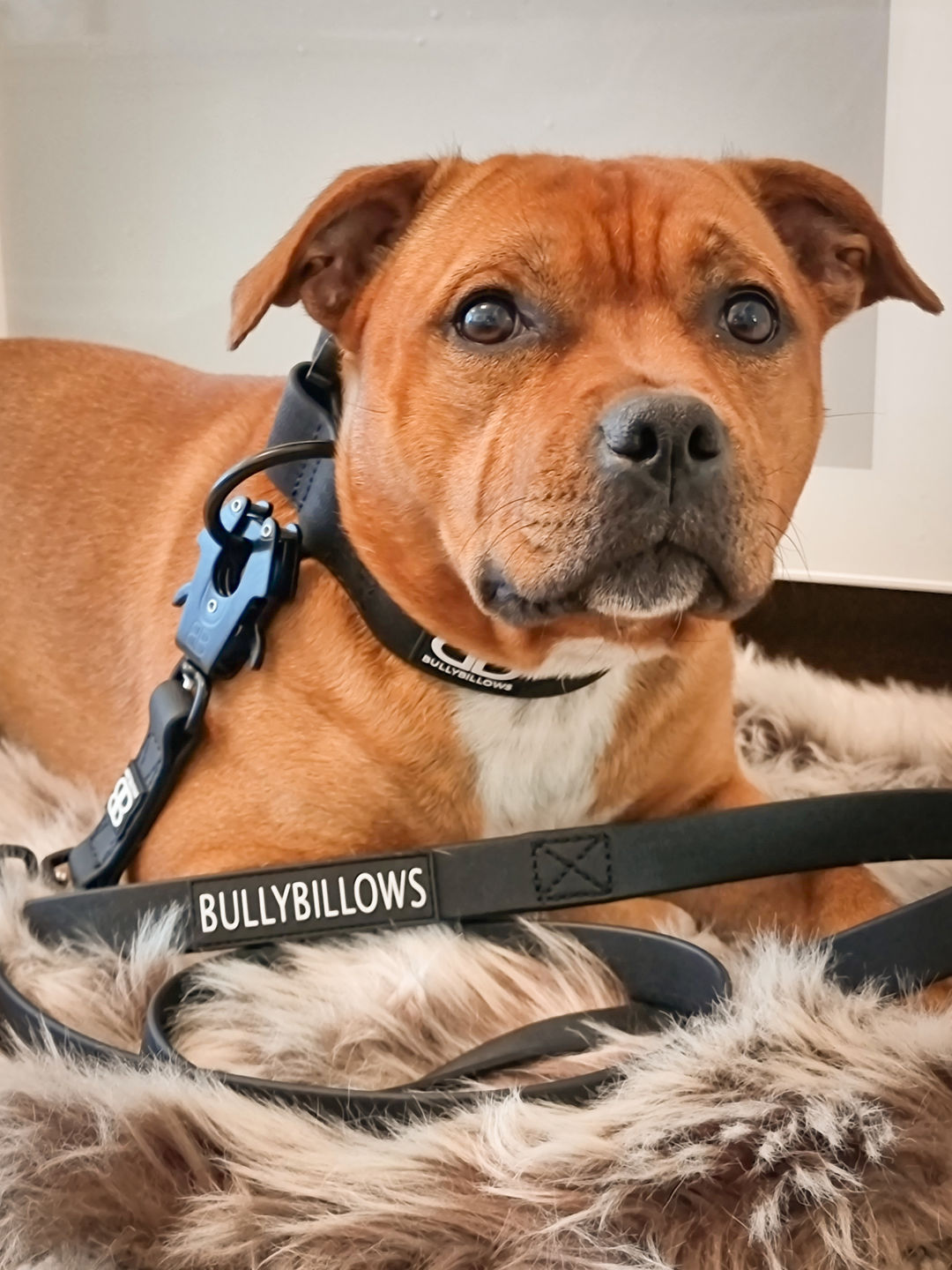 Customer photo review of Billowthane® Swivel Lead | Anti-Tangle & Waterproof - Matte Black