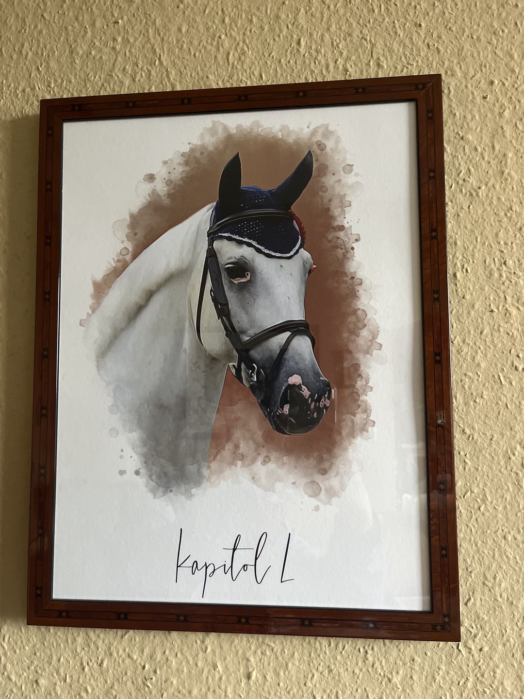 Customer photo review of Portrait deines Tieres im Wasserfarben-Stil