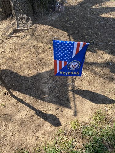 Customer photo review of US NAVY Veteran Garden Flag YARD BLUE