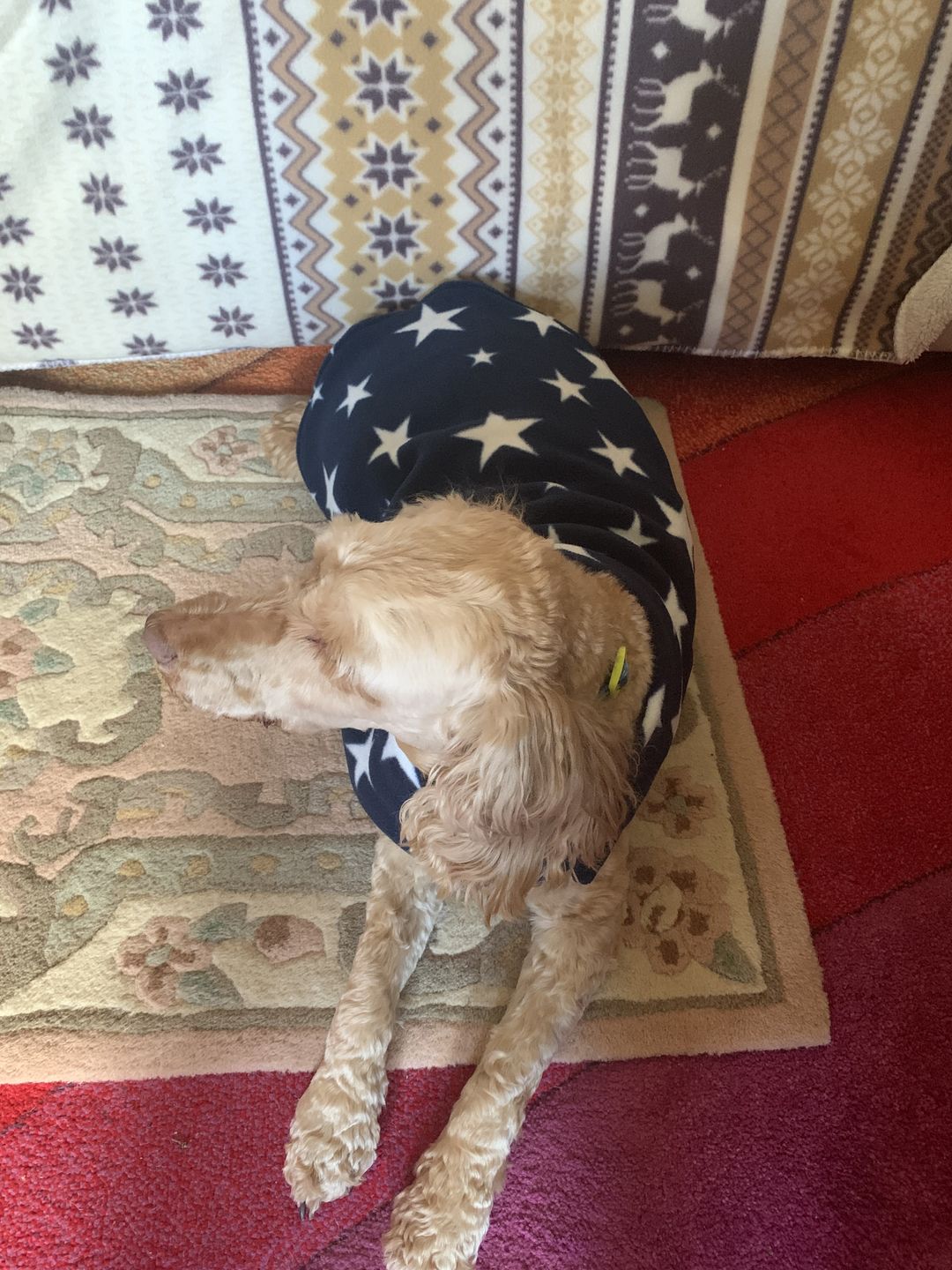 Customer photo review of White Stars Anti Pill Polar Fleece Fabric