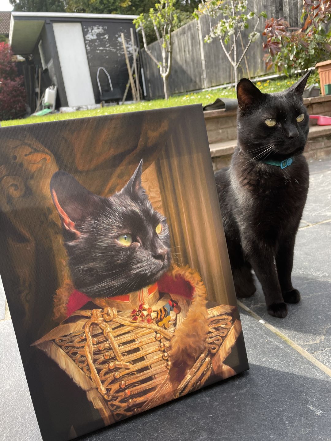 Customer photo review of The Colonel: Custom Pet Canvas