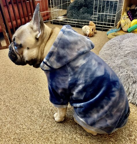Customer photo review of Vintage Navy Sky Dye Dog Hoodie