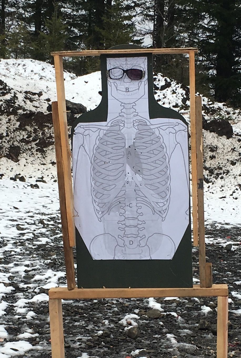 Customer photo review of Kill Zone Target
