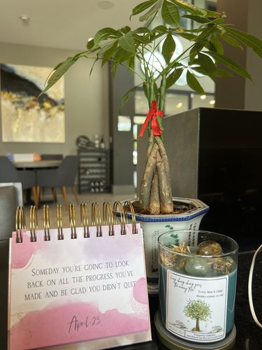 Customer photo review of Ching Ching Goes The Money Tree- Prosperity Mantra Candle