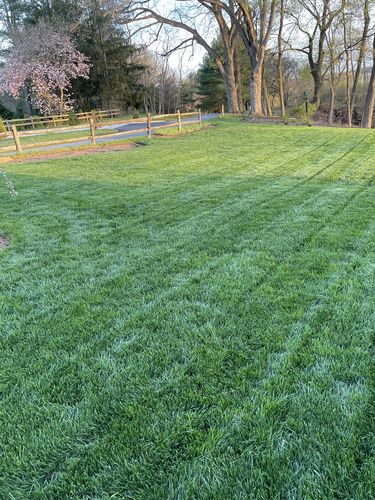 Customer photo review of Cool Season Lawn Care Guide