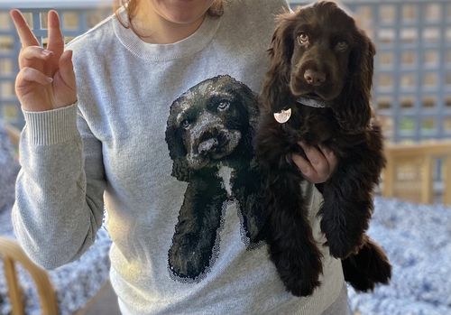 Customer photo review of Full-Body Pet Custom Sweater