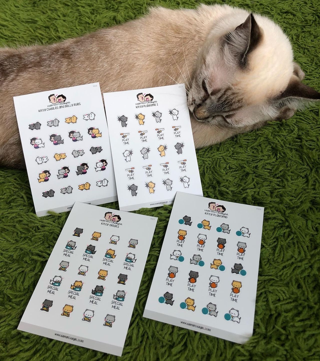 Customer photo review of Kitty Cuddles and Belly Rubs Planner Stickers