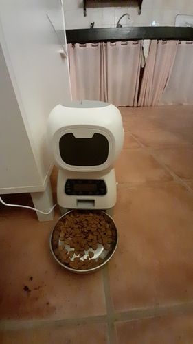 Customer photo review of 3.5L Automatic Pet Feeder Smart Food Dispenser For Cats Dogs Timer Stainless Steel Bowl  Auto Dog Cat Pet Feeding Pet Supplies