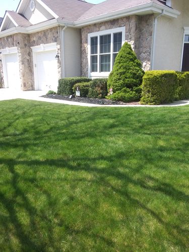 Customer photo review of 16-21-2 GreenePOP