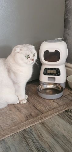 Customer photo review of 3.5L Automatic Pet Feeder Smart Food Dispenser For Cats Dogs Timer Stainless Steel Bowl  Auto Dog Cat Pet Feeding Pet Supplies