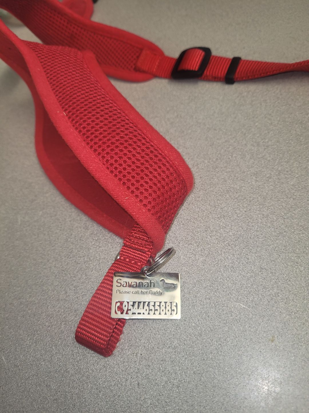 Customer photo review of Hollow-carved ID Tags