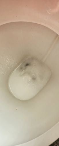 Customer photo review of Toilet Fizz