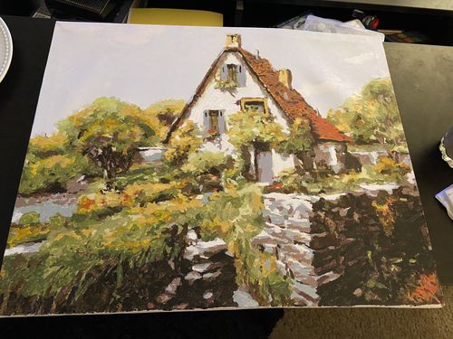 Customer photo review of Cabin - Paint by Numbers