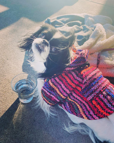 Customer photo review of Playa Poncho