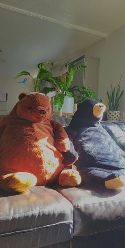 Customer photo review of SKOGGY BEAR