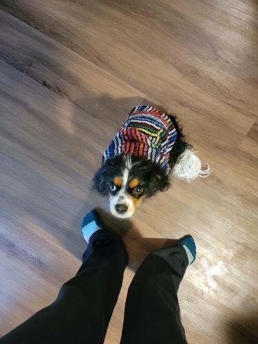 Customer photo review of Playa Poncho