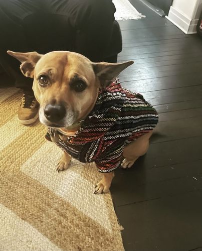 Customer photo review of Playa Poncho