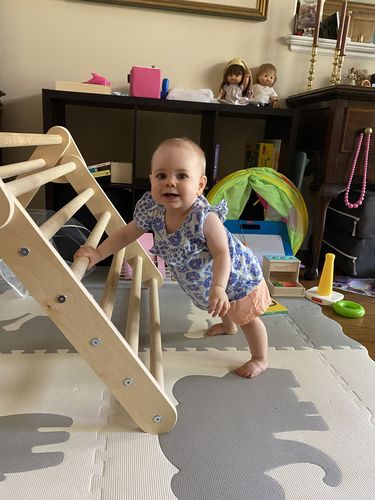 Customer photo review of Little Climber