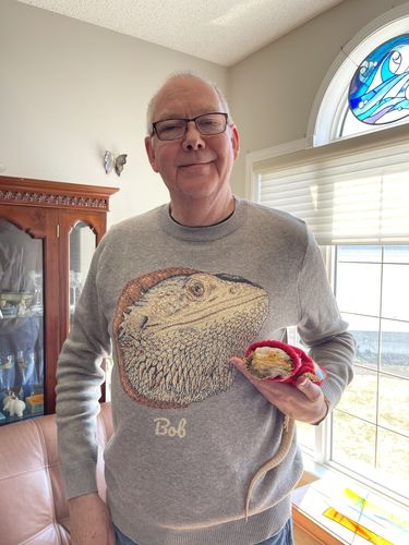 Customer photo review of Full-Body Pet Custom Sweater