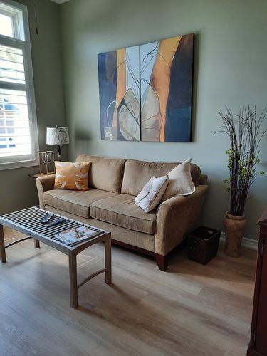 Customer photo review of 'Modern Mustard' Framed Canvas (Set of 2)