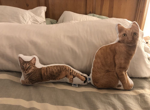 Customer photo review of Create A Custom Cat Pillow