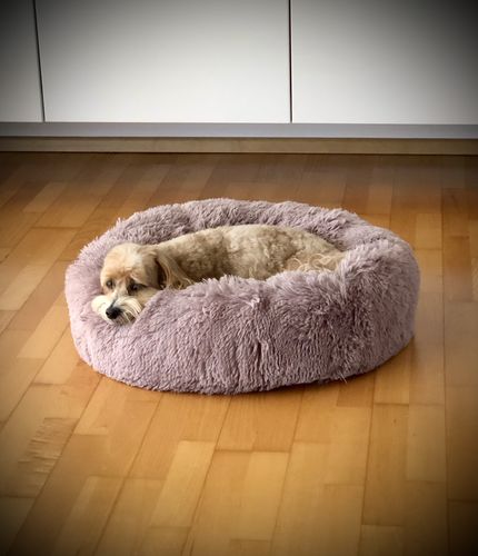 Customer photo review of Puppery Kuschelbett - Das Original