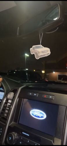 Customer photo review of One Custom Air Freshener