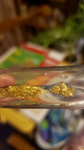 Customer photo review of Elite 'NUGGET CHASE' - Gold Panning Paydirt Concentrate