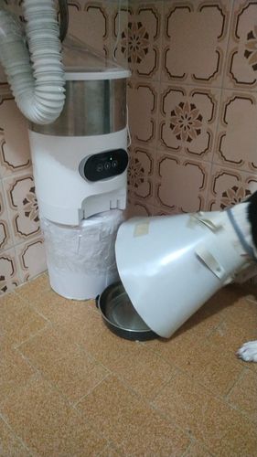 Customer photo review of Smart APP Pet Feeder Cat And Dog Food Dispenser Stainless Steel  Bowl Medium-Sized Cats And Dogs With Recording Timing Feeding
