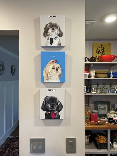 Customer photo review of The Passport - Custom Pet Canvas